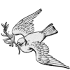 Dove with Branch